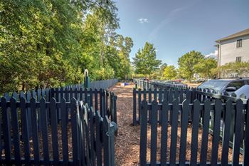 A long row of black picket fences line a tree-lined street
